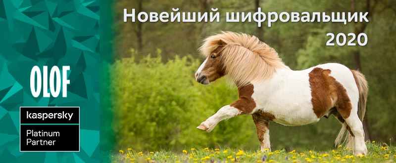 Новый шифровальщик PonyFinal для кражи данных